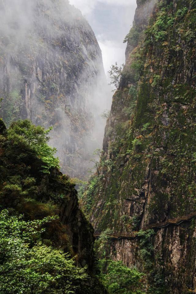 一条绿丝带 温暖出行路